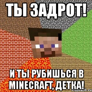 ты задрот! и ты рубишься в minecraft, детка!, Мем Миникрафтер