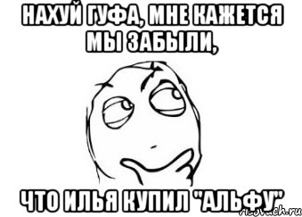 нахуй гуфа, мне кажется мы забыли, что илья купил "альфу", Мем Мне кажется или