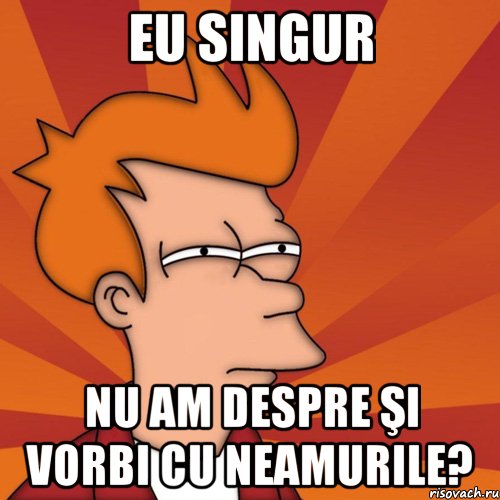 eu singur nu am despre şi vorbi cu neamurile?, Мем Мне кажется или (Фрай Футурама)