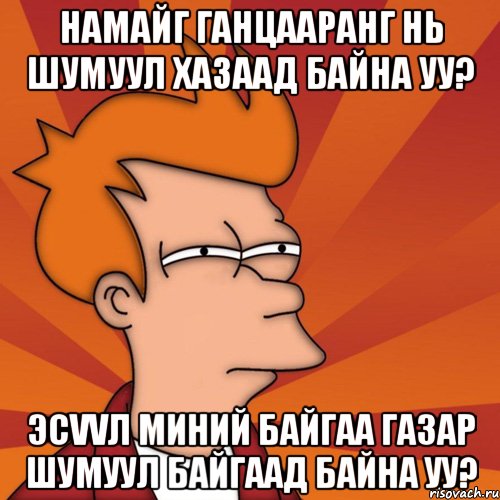 намайг ганцааранг нь шумуул хазаад байна уу? эсvvл миний байгаа газар шумуул байгаад байна уу?, Мем Мне кажется или (Фрай Футурама)