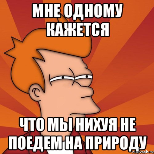 мне одному кажется что мы нихуя не поедем на природу, Мем Мне кажется или (Фрай Футурама)