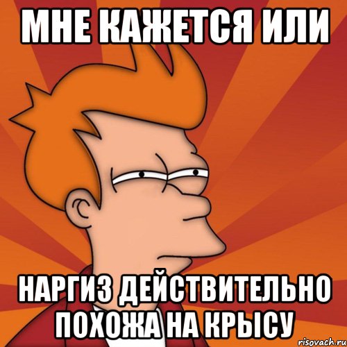 мне кажется или наргиз действительно похожа на крысу, Мем Мне кажется или (Фрай Футурама)