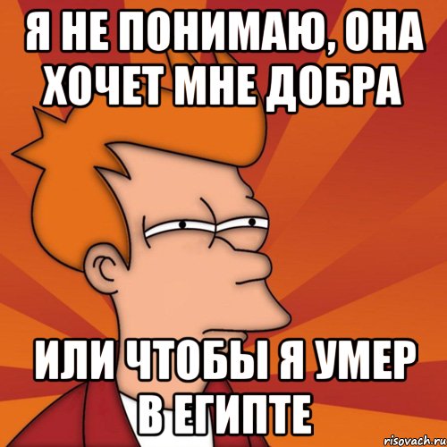 я не понимаю, она хочет мне добра или чтобы я умер в египте, Мем Мне кажется или (Фрай Футурама)