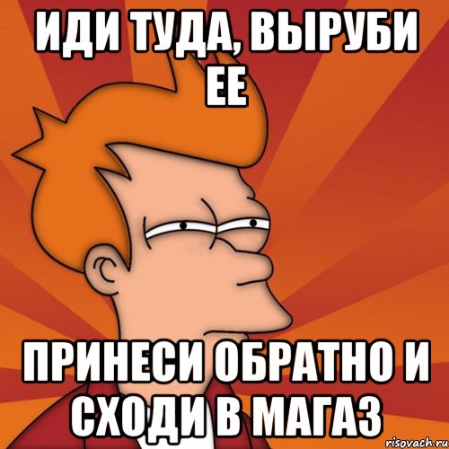 иди туда, выруби ее принеси обратно и сходи в магаз, Мем Мне кажется или (Фрай Футурама)