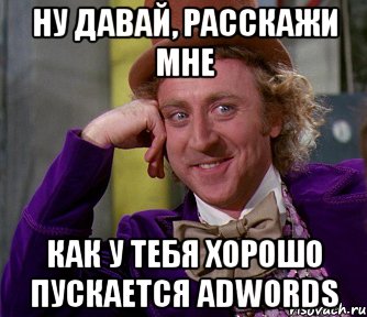 ну давай, расскажи мне как у тебя хорошо пускается adwords, Мем мое лицо