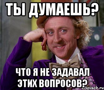 ты думаешь? что я не задавал этих вопросов?, Мем мое лицо