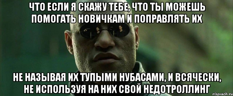 что если я скажу тебе, что ты можешь помогать новичкам и поправлять их не называя их тупыми нубасами, и всячески, не используя на них свой недотроллинг, Мем  морфеус