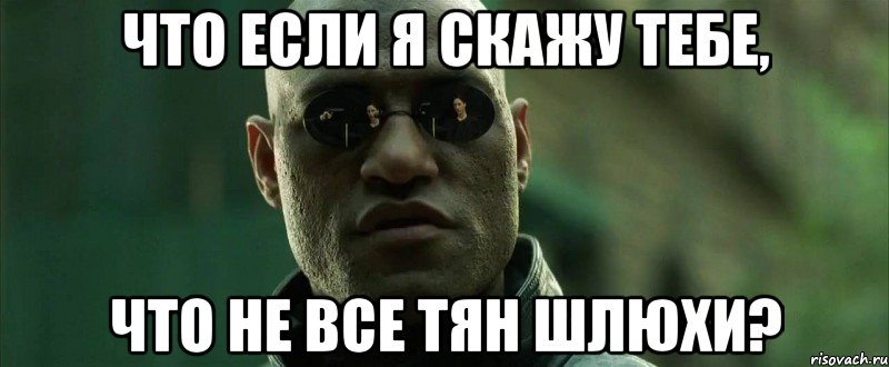 что если я скажу тебе, что не все тян шлюхи?