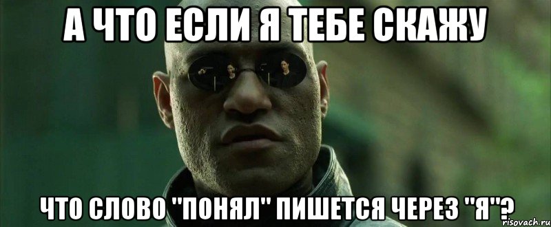 а что если я тебе скажу что слово "понял" пишется через "я"?