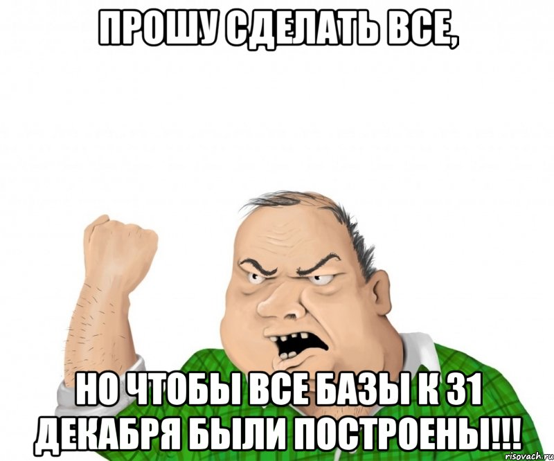 прошу сделать все, но чтобы все базы к 31 декабря были построены!!!, Мем мужик