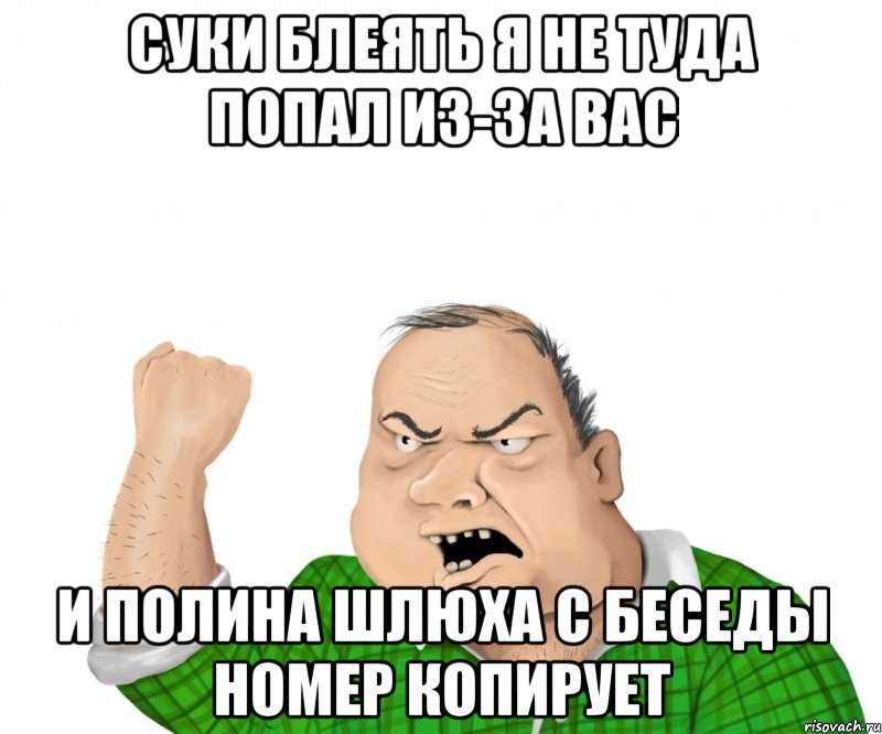 суки блеять я не туда попал из-за вас и полина шлюха с беседы номер копирует, Мем мужик