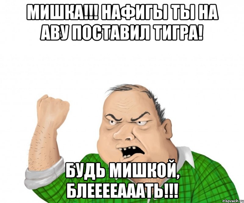 мишка!!! нафигы ты на аву поставил тигра! будь мишкой, блееееааать!!!, Мем мужик