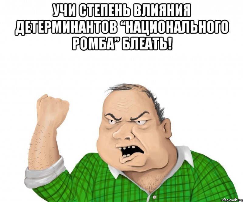 учи степень влияния детерминантов “национального ромба” блеать! , Мем мужик