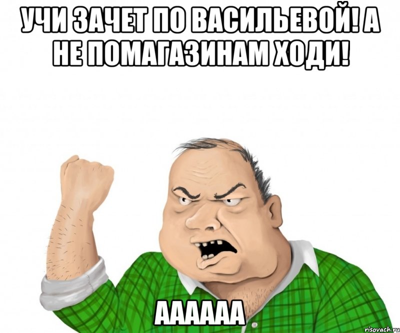 учи зачет по васильевой! а не помагазинам ходи! аааааа, Мем мужик