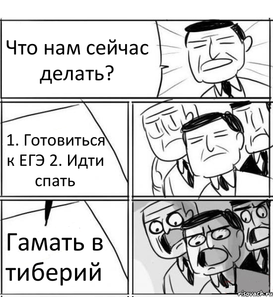 Что нам сейчас делать? 1. Готовиться к ЕГЭ 2. Идти спать Гамать в тиберий, Комикс нам нужна новая идея