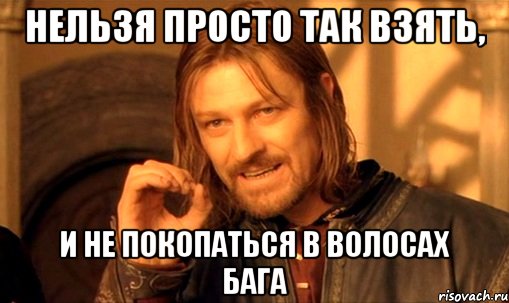 нельзя просто так взять, и не покопаться в волосах бага, Мем Нельзя просто так взять и (Боромир мем)