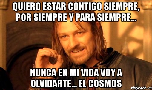 quiero estar contigo siempre, por siempre y para siempre... nunca en mi vida voy a olvidarte... el cosmos, Мем Нельзя просто так взять и (Боромир мем)