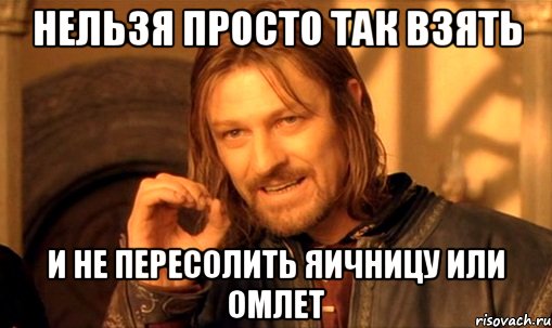 нельзя просто так взять и не пересолить яичницу или омлет, Мем Нельзя просто так взять и (Боромир мем)