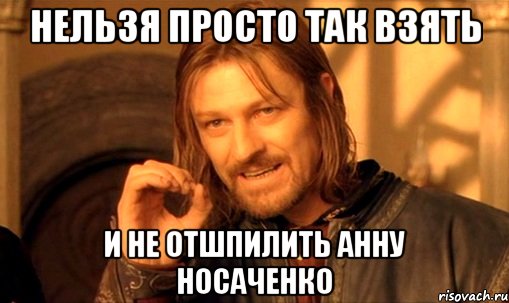 нельзя просто так взять и не отшпилить анну носаченко, Мем Нельзя просто так взять и (Боромир мем)