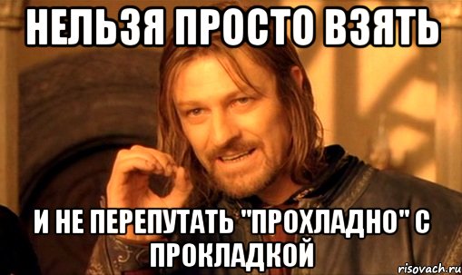 нельзя просто взять и не перепутать "прохладно" с прокладкой, Мем Нельзя просто так взять и (Боромир мем)