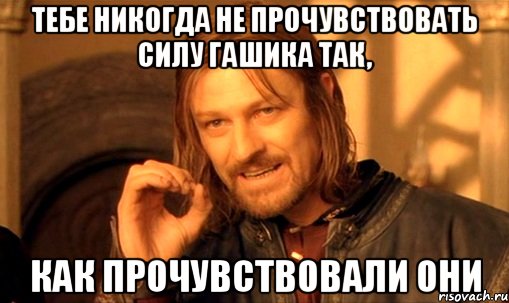 тебе никогда не прочувствовать силу гашика так, как прочувствовали они, Мем Нельзя просто так взять и (Боромир мем)