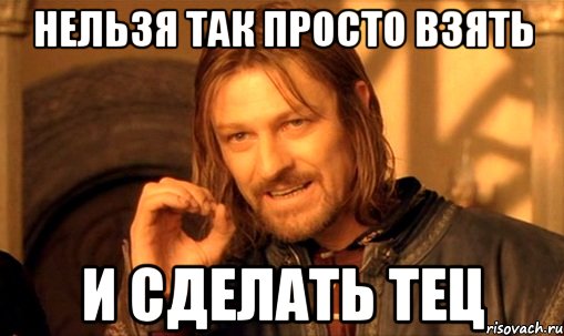 нельзя так просто взять и сделать тец, Мем Нельзя просто так взять и (Боромир мем)