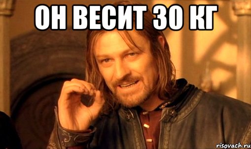 он весит 30 кг , Мем Нельзя просто так взять и (Боромир мем)