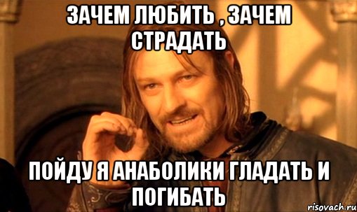 зачем любить , зачем страдать пойду я анаболики гладать и погибать, Мем Нельзя просто так взять и (Боромир мем)