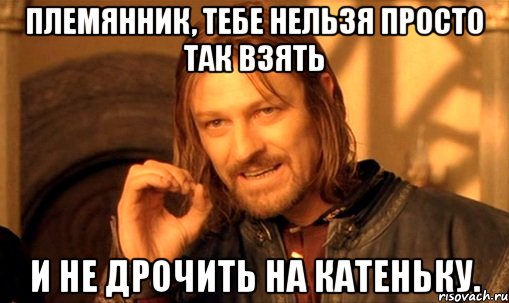 племянник, тебе нельзя просто так взять и не дрочить на катеньку., Мем Нельзя просто так взять и (Боромир мем)