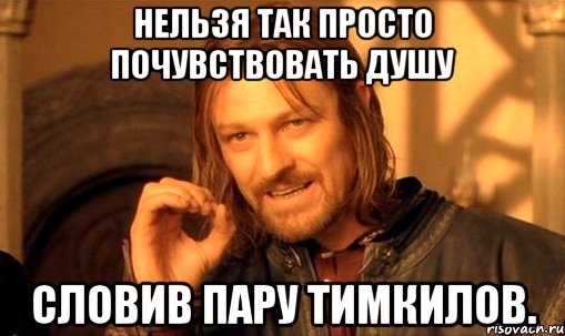 нельзя так просто почувствовать душу словив пару тимкилов., Мем Нельзя просто так взять и (Боромир мем)