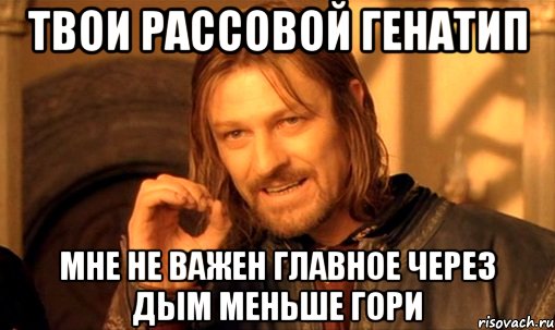 твои рассовой генатип мне не важен главное через дым меньше гори, Мем Нельзя просто так взять и (Боромир мем)