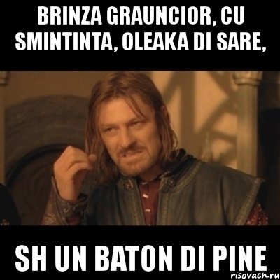 brinza grauncior, cu smintinta, oleaka di sare, sh un baton di pine, Мем Нельзя просто взять