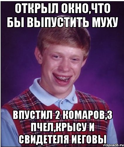 открыл окно,что бы выпустить муху впустил 2 комаров,3 пчел,крысу и свидетеля иеговы