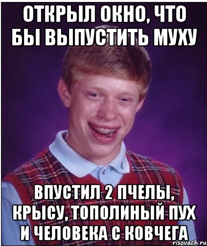 открыл окно, что бы выпустить муху впустил 2 пчелы, крысу, тополиный пух и человека с ковчега