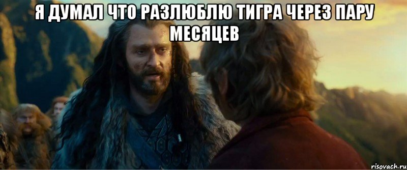 я думал что разлюблю тигра через пару месяцев , Мем никогда еще так не ошибался