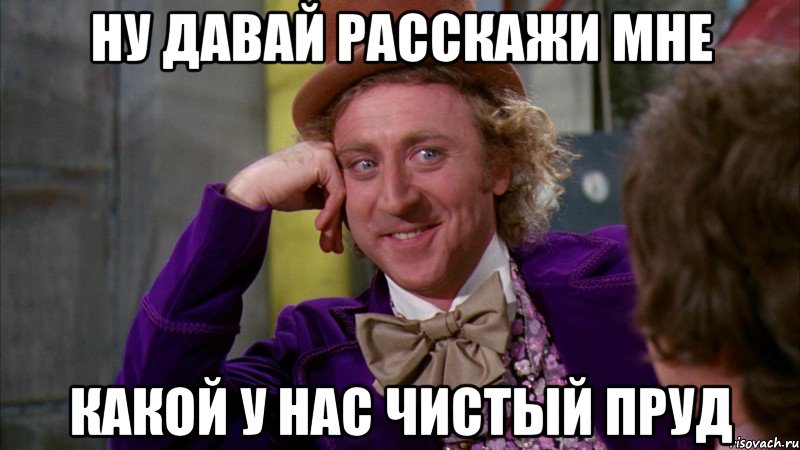 ну давай расскажи мне какой у нас чистый пруд, Мем Ну давай расскажи (Вилли Вонка)