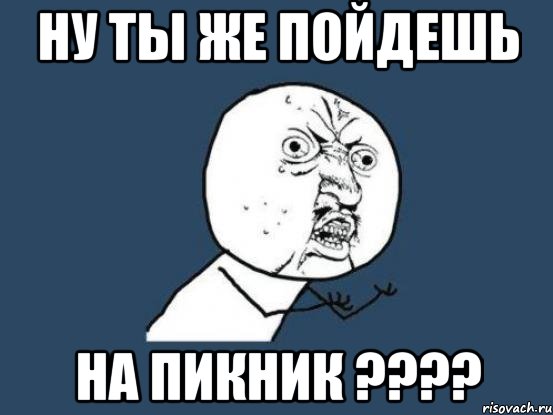 ну ты же пойдешь на пикник ???, Мем Ну почему