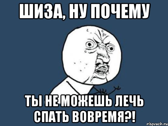 шиза, ну почему ты не можешь лечь спать вовремя?!, Мем Ну почему