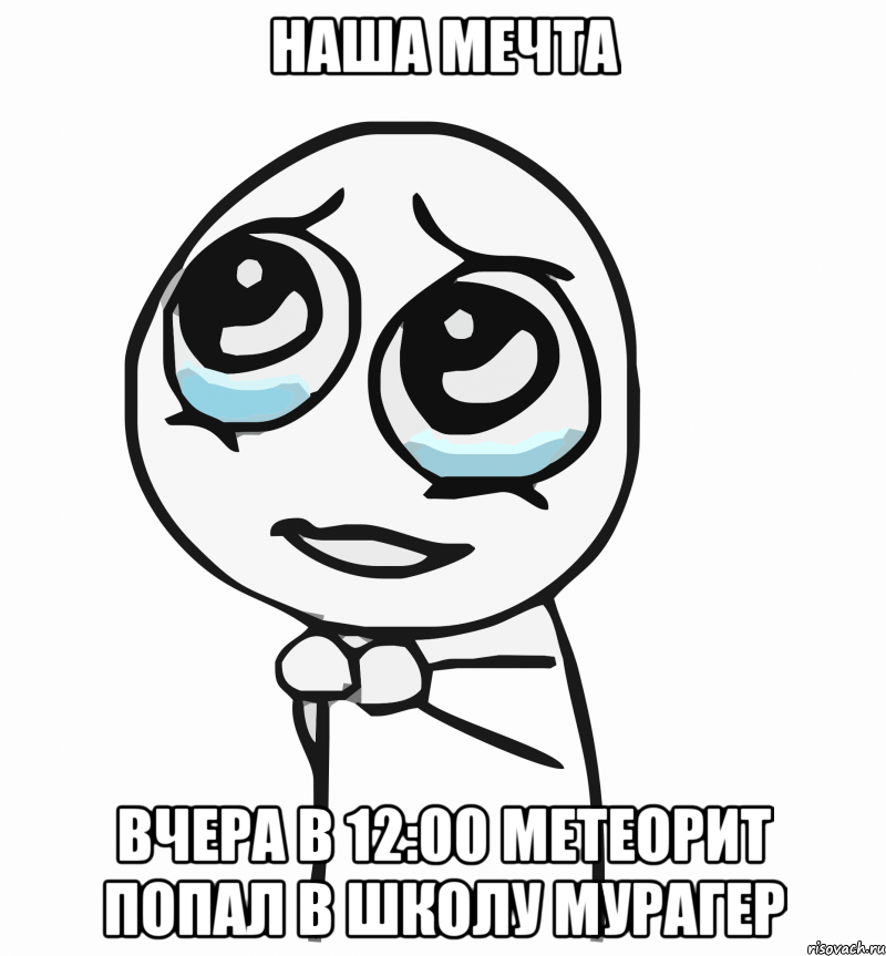 наша мечта вчера в 12:00 метеорит попал в школу мурагер, Мем  ну пожалуйста (please)