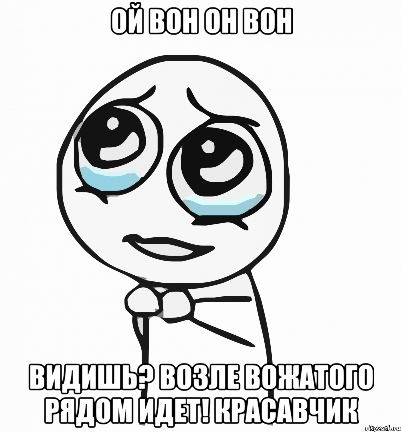 ой вон он вон видишь? возле вожатого рядом идет! красавчик, Мем  ну пожалуйста (please)