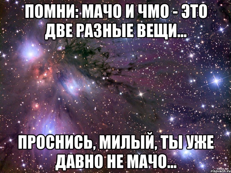 помни: мачо и чмо - это две разные вещи... проснись, милый, ты уже давно не мачо..., Мем Космос