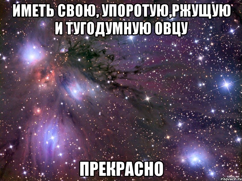 иметь свою, упоротую,ржущую и тугодумную овцу прекрасно, Мем Космос