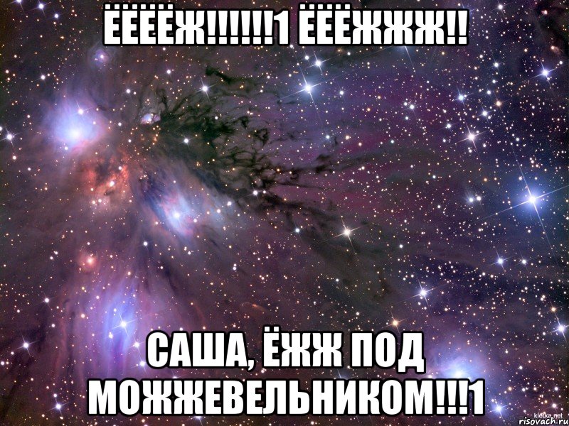 ёёёёж!!!1 ёёёжжж!! саша, ёжж под можжевельником!!!1, Мем Космос