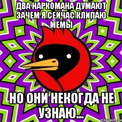 два наркомана думают зачем я сейчас клипаю мемы но они некогда не узнаю..., Мем Омская птица