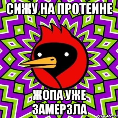 сижу на протеине жопа уже замерзла, Мем Омская птица