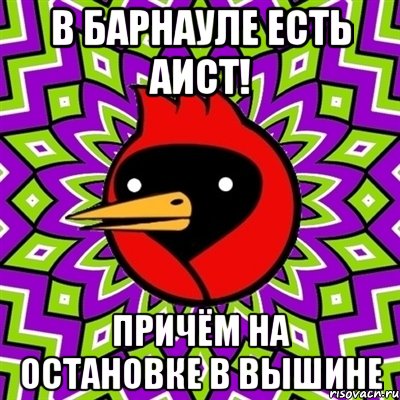 в барнауле есть аист! причём на остановке в вышине, Мем Омская птица