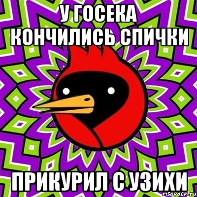 у госека кончились спички прикурил с узихи, Мем Омская птица