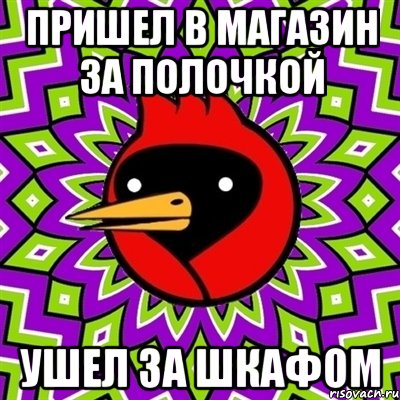 пришел в магазин за полочкой ушел за шкафом, Мем Омская птица