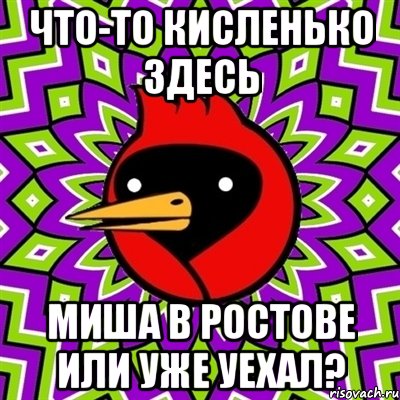 что-то кисленько здесь миша в ростове или уже уехал?, Мем Омская птица