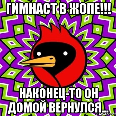 гимнаст в жопе!!! наконец-то он домой вернулся..., Мем Омская птица